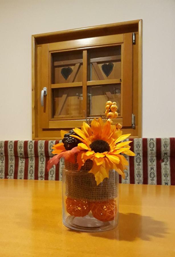 Willa Kuca Za Odmor "Nedeljko"/ Holliday Hause "Nedeljko" Sveti Martin Na Muri Zewnętrze zdjęcie